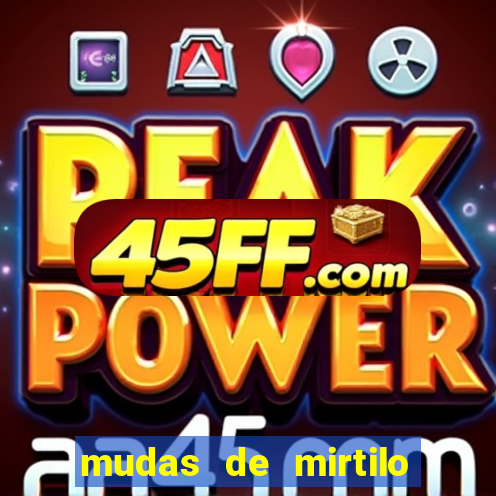 mudas de mirtilo em porto alegre